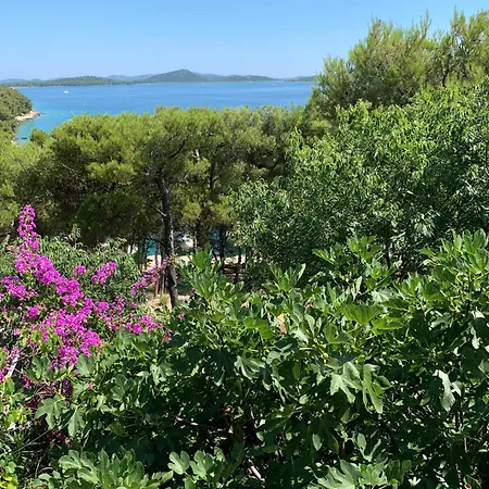 Harry - Prvi Red Do Mora *