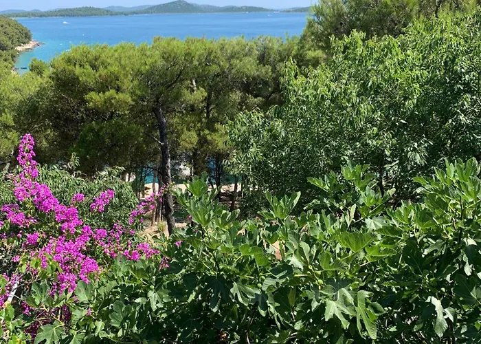 Harry - Prvi Red Do Mora *